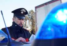 Trovata morta in casa tra escrementi di cani e gatti: ipotesi malore