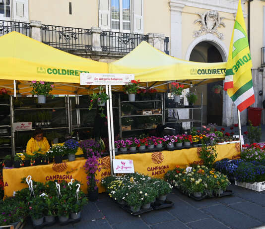 Trasparenza nel piatto, a Salerno focus di Coldiretti sulla legge sui reati agroalimentari