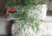 Un tesoro nascosto nel muro del ristorante: la scoperta dei carabinieri