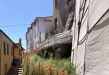 FOTO/ San Giorgio la Molara, tra randagi e degrado: cittadini denunciano