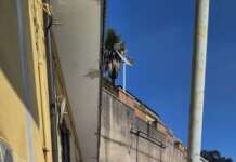 FOTO/ Auto finisce contro un muro: nessun ferito in via delle Puglie