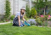 Come vivere al meglio il vostro giardino