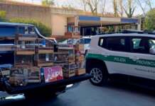 Orta di Atella, la Polizia Provinciale sequestra oltre 200 volatili detenuti illegalmente: denunciata una donna