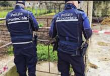 San Tammaro, sfruttamento dell’immigrazione clandestina e caporalato: denunciato imprenditore
