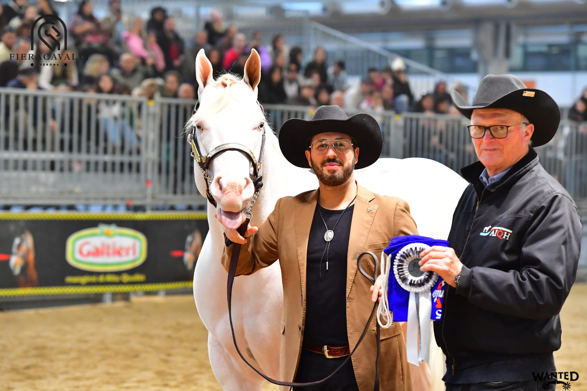 la scuderia top america di vito marotta di agropoli conquista un prestigioso premio nazionale da Anteprima24.it la scuderia top america di vito marotta di agropoli conquista un prestigioso premio nazionale