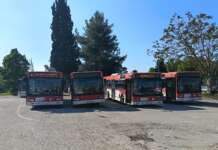 Bus non sicuri, scatta la protesta: sei autisti fermano il servizio Trotta