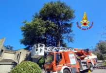 Alberi pericolanti nei pressi della Chiesa, Vigili del Fuoco all’opera