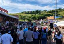 Grande successo per “4 Zampe al Buonvento”: due giornate di partecipazione, spettacolo e sensibilizzazione