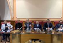 Commercio al bivio: la visione (diversa) di Festa, Pizza e Nargi