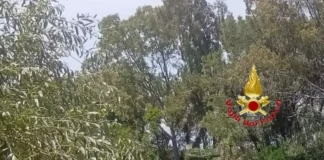 Cadavere in laghetto, avviate indagini su causa morte