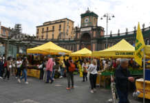 Villaggio Coldiretti e Casartigiani del Made in Italy, un successo a Napoli: turisti e cittadini in festa