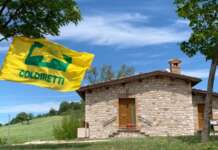 Coldiretti, centri estivi in campagna: Domenica open-day per le famiglie