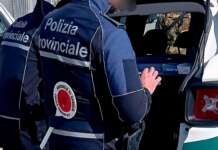 Aversa, abbandona una cagnolina che muore investita: identificato e denunciato dalla Polizia Provinciale