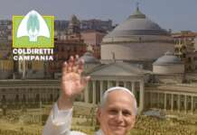 Coldiretti Campania accoglie Papa Leone: fiore e mele annurche IGP per fedeli e pellegrini