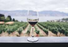 Migliori portali di informazione sul wine business nel mondo: classifica delle 7 testate di riferimento per l’export globale