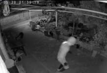VIDEO/ Tornano le bande dei furti: ripresi tre ladri in azione