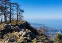 Dieta dei Monti Lattari, arriva il protocollo per un modello alimentare declinazione territoriale della dieta mediterranea