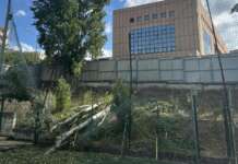 Albero crolla all’interno del rettangolo di gioco, chiusura temporanea del Campo ‘Mellusi’