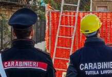 Lavoro in nero e gravi violazioni su sicurezza: sospese due aziende sannite