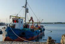 GAL Pesca Magna Graecia ATS: inaugurazione della sede operativa a Santa Maria di Castellabate