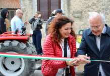 Solopaca fiorisce: cittadini, associazioni e ragazzi insieme per coltivare bellezza e inclusione