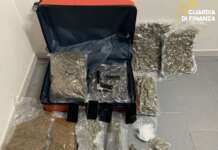 Droga proveniente dalla Spagna, arrestate sei persone