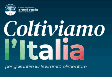 Coltiviamo l’Italia, a Capua la tavola rotonda di Fratelli d’Italia coltiviamo l'italia