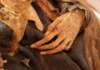 Resti mummificati sotto l’altare: identificata dopo 183 anni