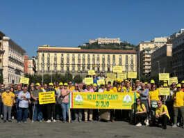 Prezzi, Aprol e Coldiretti Campania contro i trafficanti di olio: “Più trasparenza e più controlli”