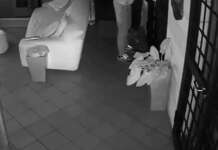 Panico furti: le bande tornano a colpire con le persone in casa