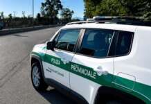 Litorale Domizio, controlli straordinari della Polizia Provinciale: sequestrato un veicolo