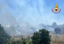 Caserta Vecchia, incendio di vegetazione: supporto dai Vigili del Fuoco irpini