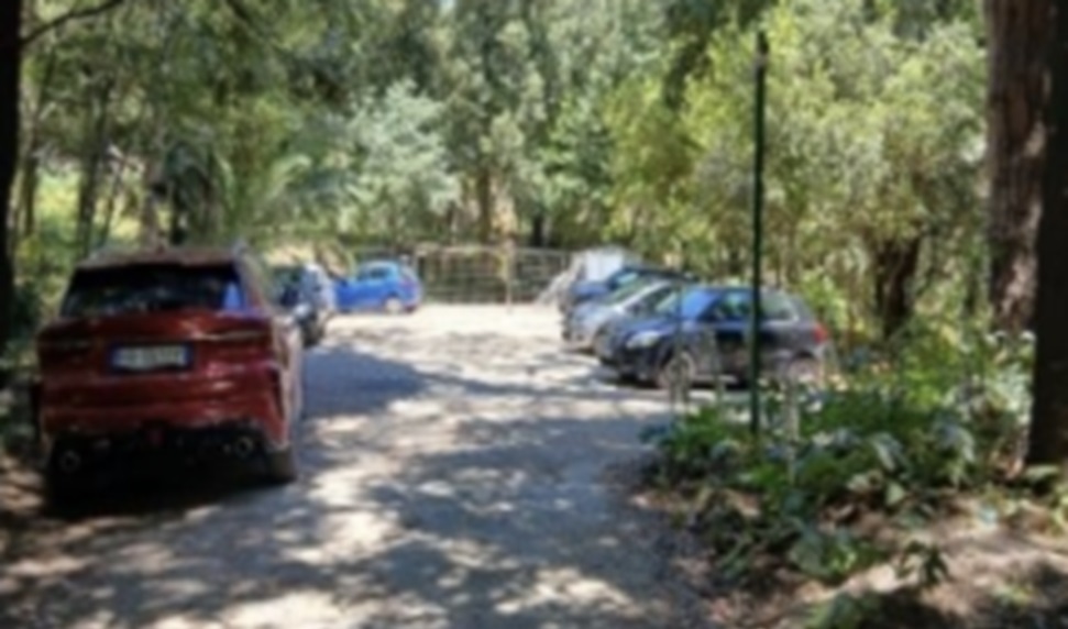 napoli in floridiana confronto sul parco ambientalisti direttrice annunciata protesta attivisti da Anteprima24.it napoli in floridiana confronto sul parco ambientalisti direttrice annunciata protesta attivisti