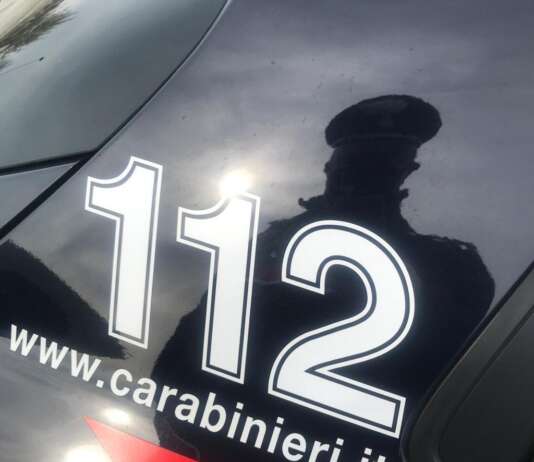 Cani legati alla catena, uomo denunciato dai carabinieri Carabinieri