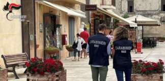 Costiera Amalfitana, Cilento e Agro Nocerino-Sarnese: controlli dei Nas, chiusure e sequestri