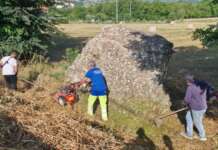 Contrada “Santa Clementina”, cittadini e comitato si mobilitano per ripulire l’area