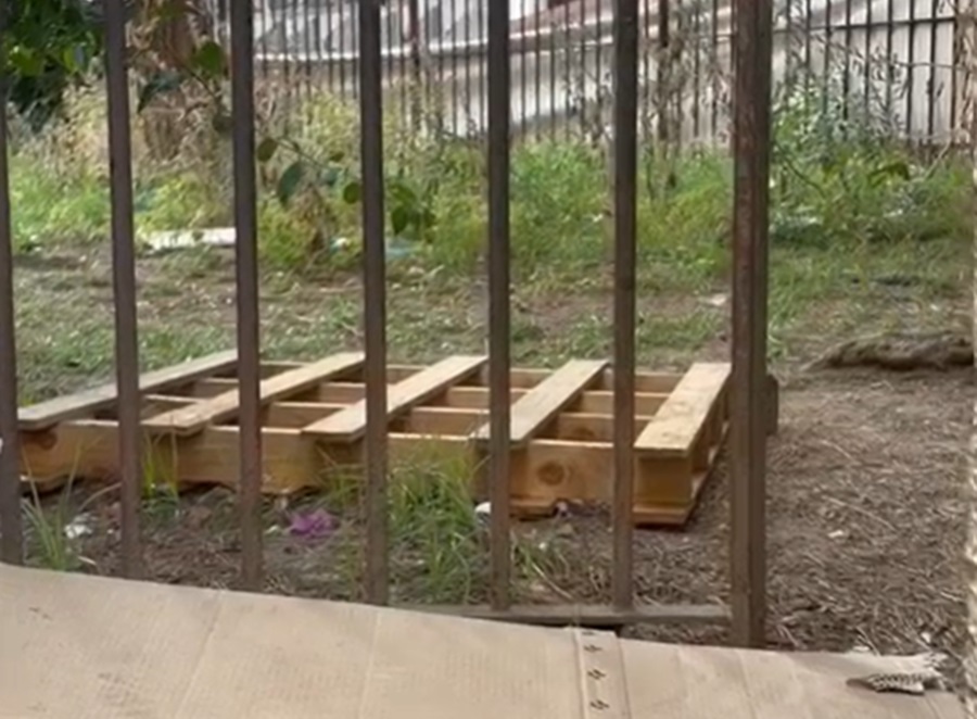 video napoli giardini santa chiara ridotti a discarica davanti al fiume di turisti da Anteprima24.it video napoli giardini santa chiara ridotti a discarica davanti al fiume di turisti