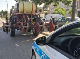 Blitz della Polizia Municipale: autocarri e trattori nel mirino