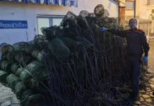 Sui fondali di Ischia sequestrate 120 nasse nell’area marina protetta