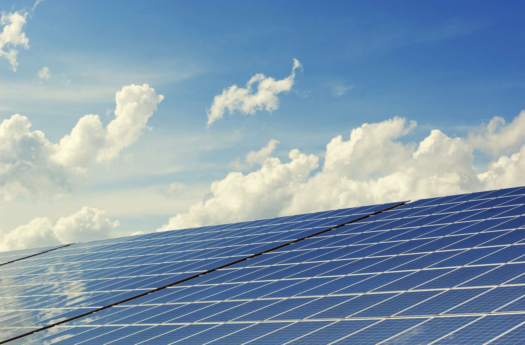 energia l8217ex direttore di greenpeace rinnovabili occasione storica per campania e centro sud da Anteprima24.it energia l8217ex direttore di greenpeace rinnovabili occasione storica per campania e centro sud