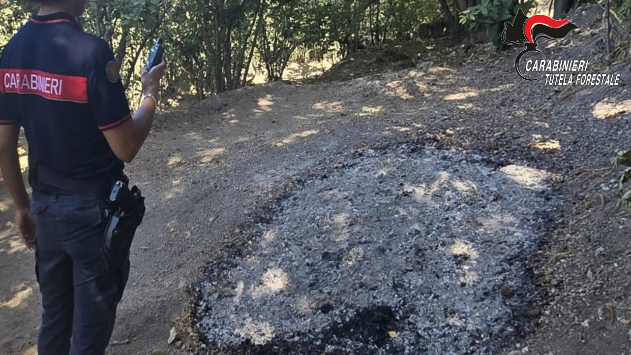 bruciavano residui vegetali nonostante il divieto sei denunciati da Anteprima24.it bruciavano residui vegetali nonostante il divieto sei denunciati