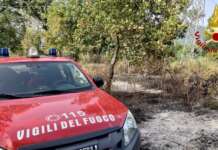 Irpinia in fiamme: devastati oltre 35mila metri quadrati di bosco