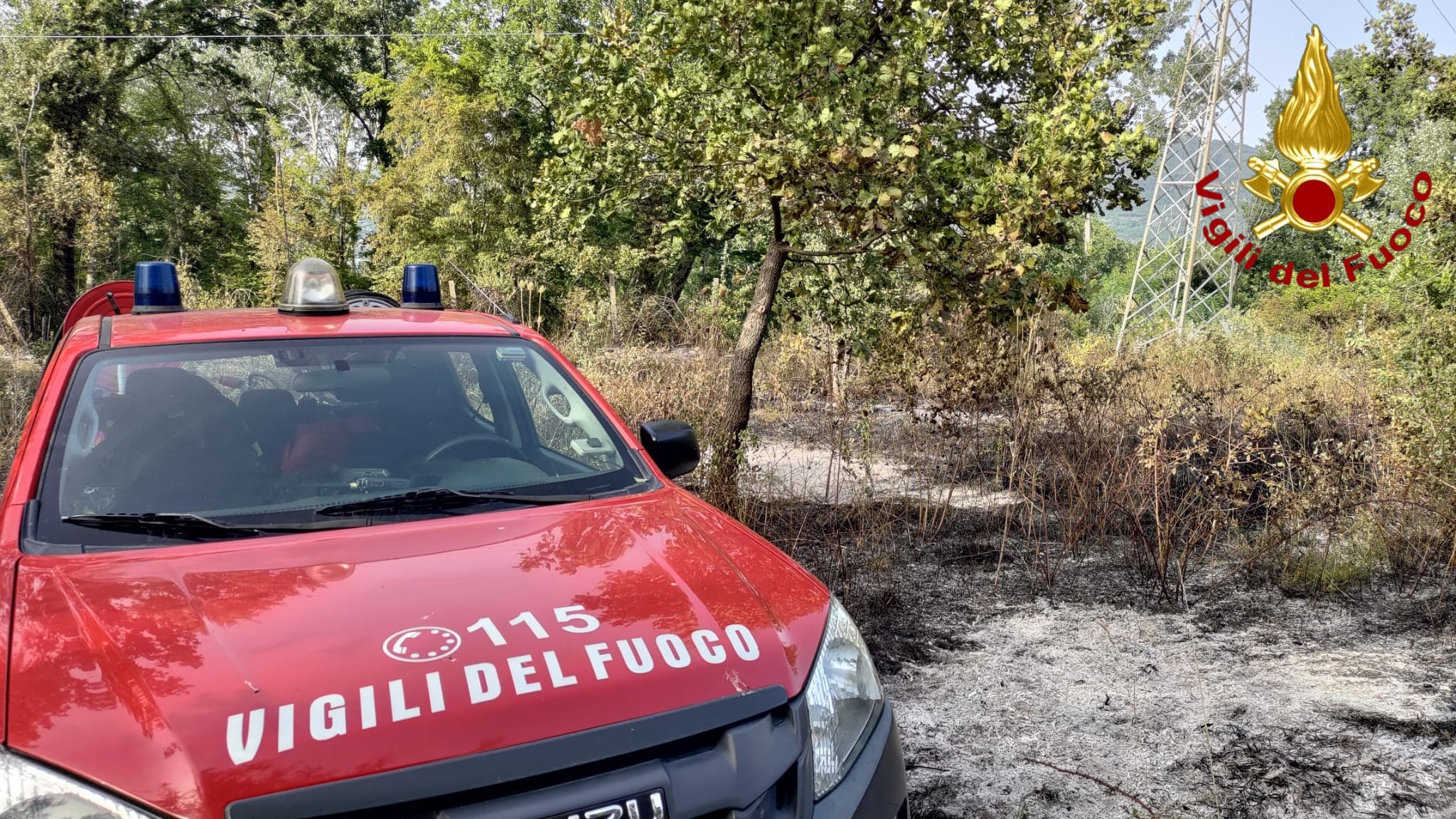 irpinia in fiamme devastati oltre 35mila metri quadrati di bosco da Anteprima24.it irpinia in fiamme devastati oltre 35mila metri quadrati di bosco