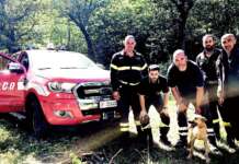 Paura per Giorgio, quattro zampe rimasto incastrata per otto ore