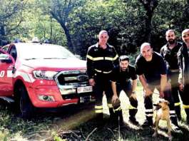 Paura per Giorgio, quattro zampe rimasto incastrata per otto ore