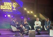 “Febbre da Concertone”: avellinesi a caccia del big di Ferragosto