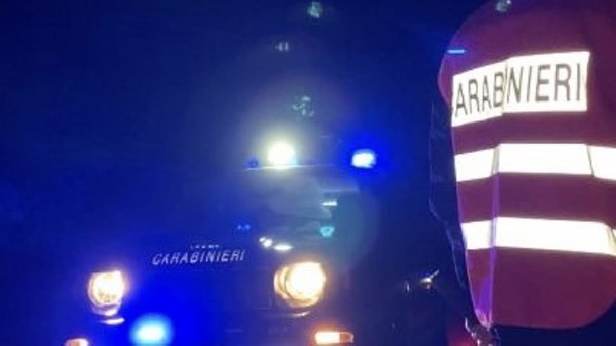 non si ferma all8217alt dei carabinieri e fugge nella vegetazione denunciato da Anteprima24.it non si ferma all8217alt dei carabinieri e fugge nella vegetazione denunciato