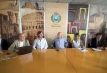 “Il Partenio non deve essere abbattuto”: il progetto di rinascita