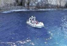 Cilento, due bagnanti feriti da morsi in mare tra Pioppi e Palinuro: si cerca la specie responsabile Palinuro Guardia Costiera