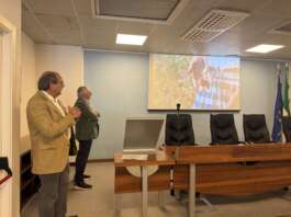 Un portale per l’essenza del Mediterraneo: il Cilento e Salerno come un’unica destinazione Nuovo portale turismo salerno